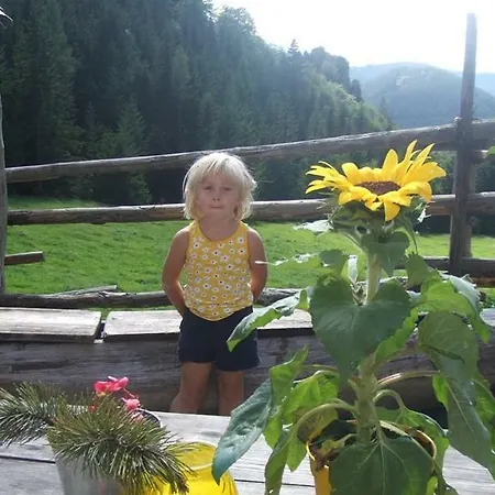 Çiftlik konaklama Karin Und Florian Gressenbauer