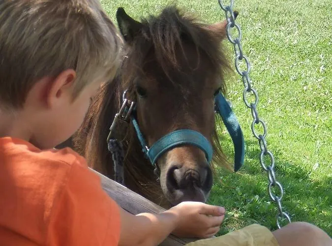 Karin Und Florian Gressenbauer Farm stay