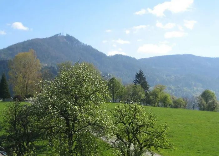 Karin Und Florian Gressenbauer * Edlbach