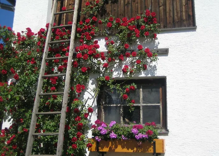 Karin Und Florian Gressenbauer * Edlbach